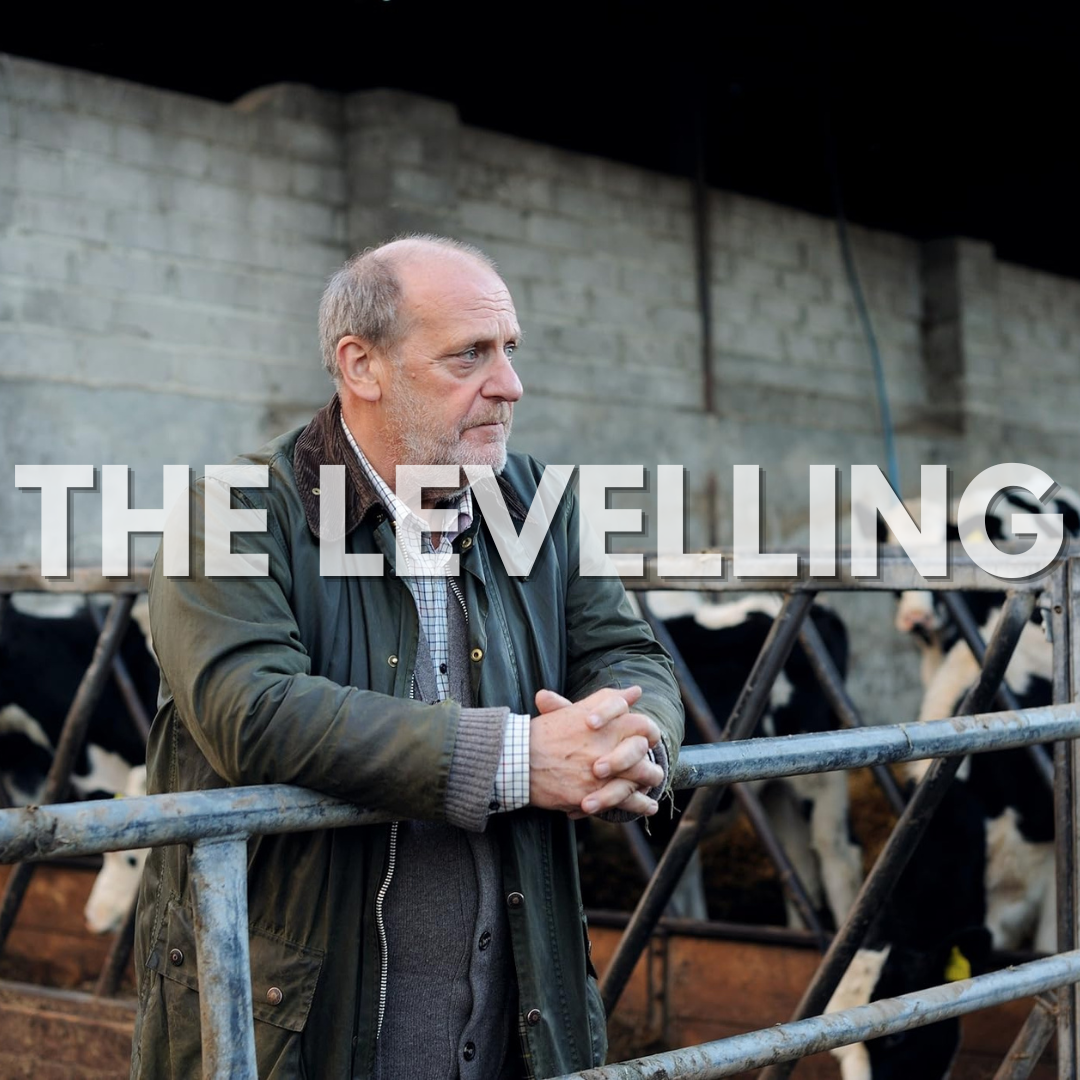 THE LEVELLING